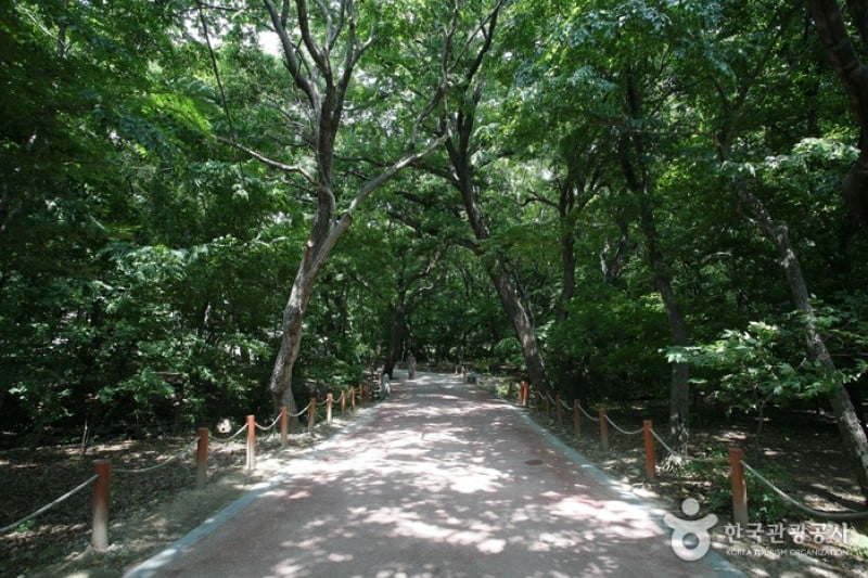 Sangnim Park  (5/12)