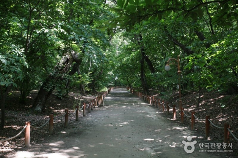 Sangnim Park  (6/12)