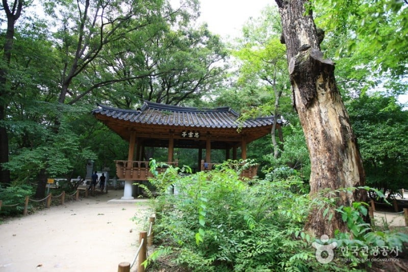 Sangnim Park  (8/12)