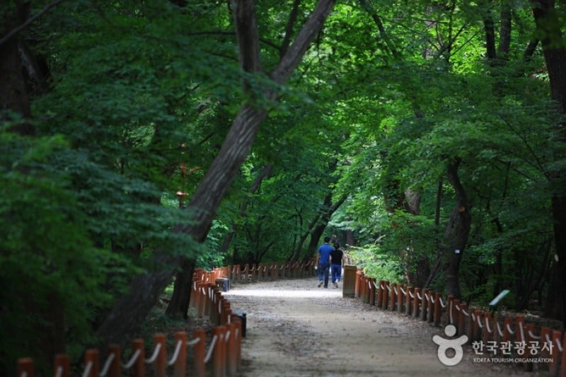 Sangnim Park  (9/12)
