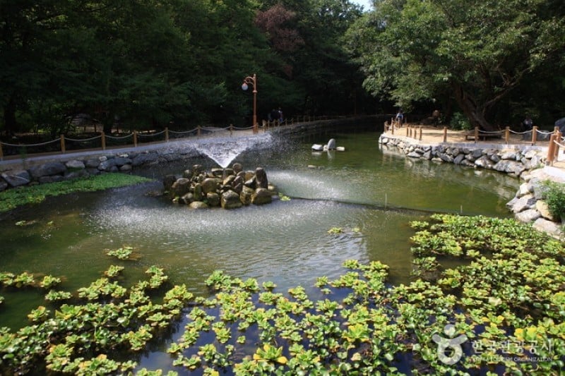 Sangnim Park  (10/12)
