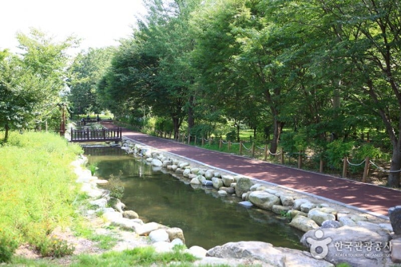Sangnim Park  (12/12)