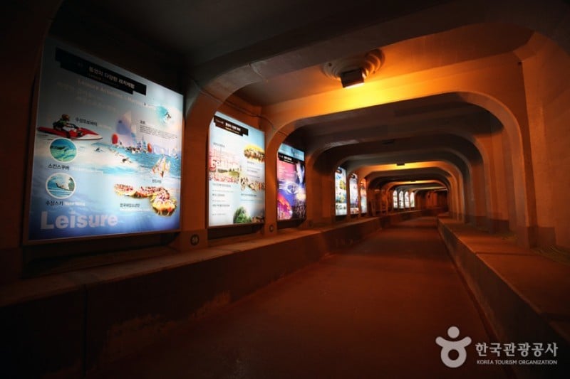 Undersea Tunnel  (9/16)