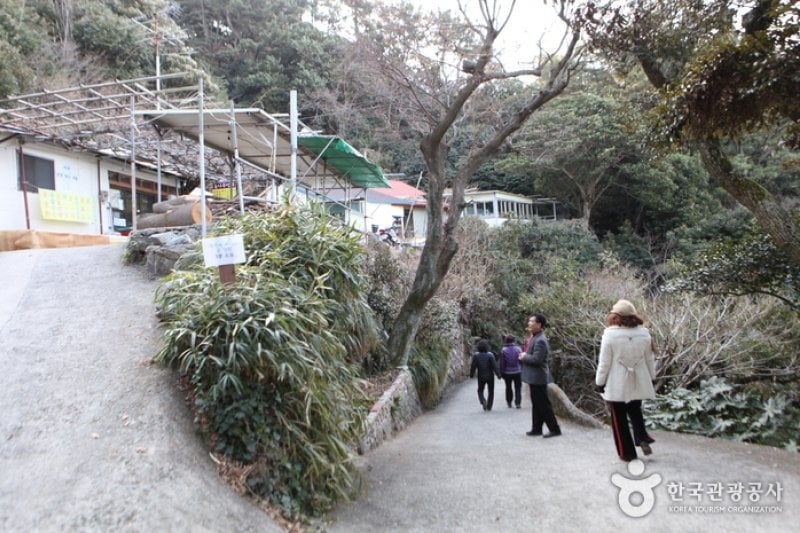Jisimdo Island (지심도) (4/26)