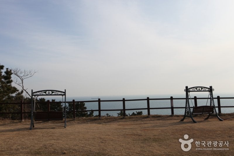 Jisimdo Island (지심도) (11/26)