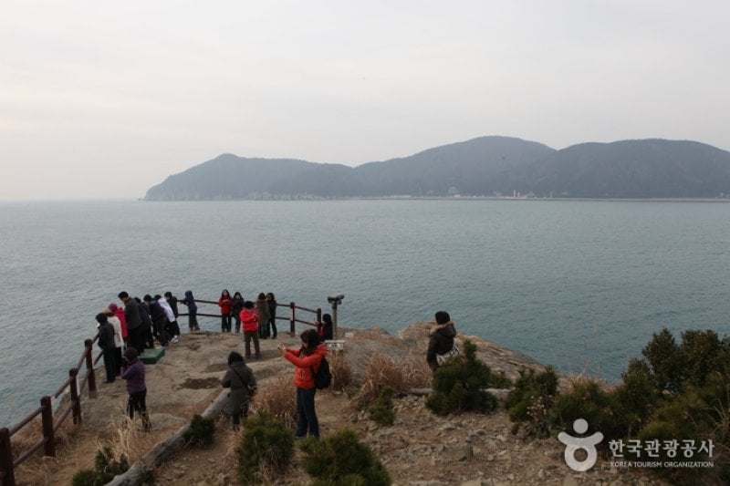 Jisimdo Island (지심도) (16/26)