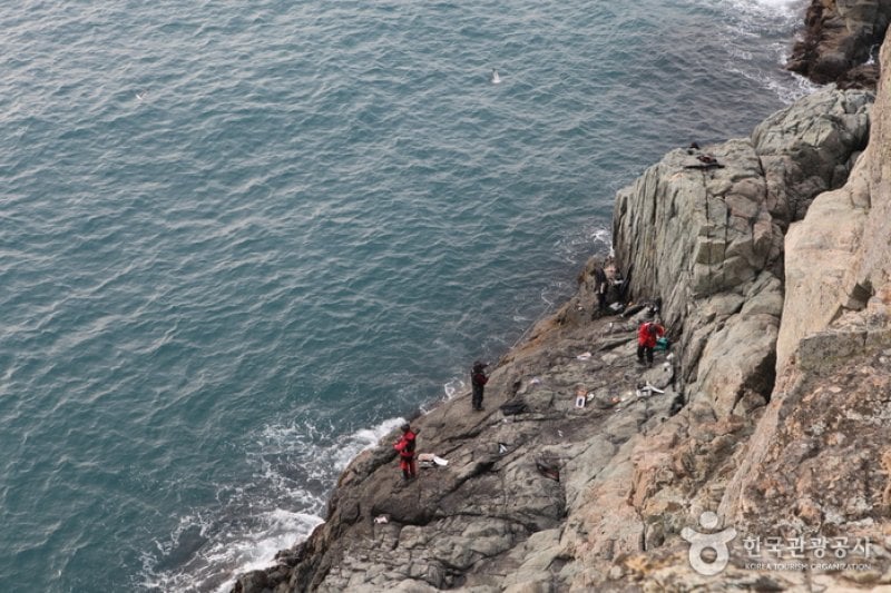 Jisimdo Island (지심도) (19/26)