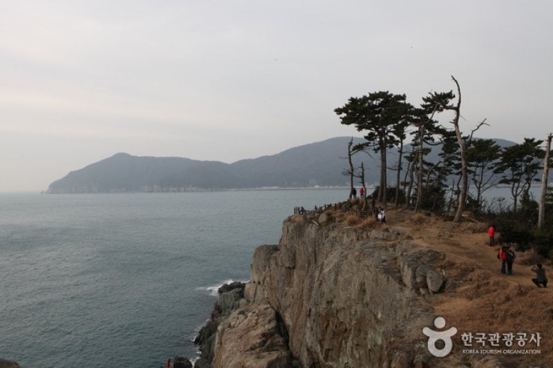 Jisimdo Island (지심도) (21/26)