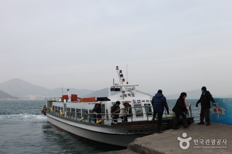 Jisimdo Island (지심도) (23/26)