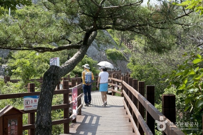 Mireukdo Island Special Tourist Zone  (6/13)
