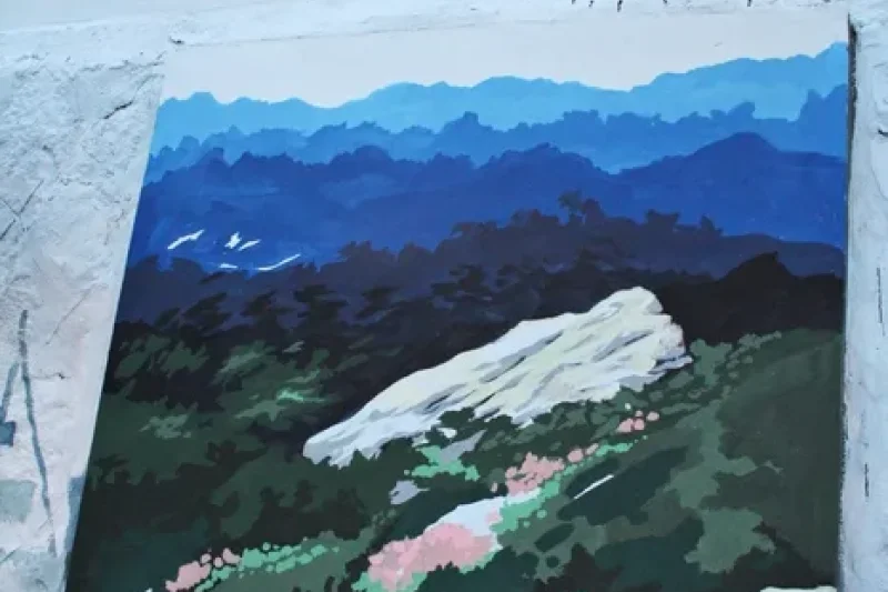Gagopa Kkoburang-gil Mural Village  (3/9)