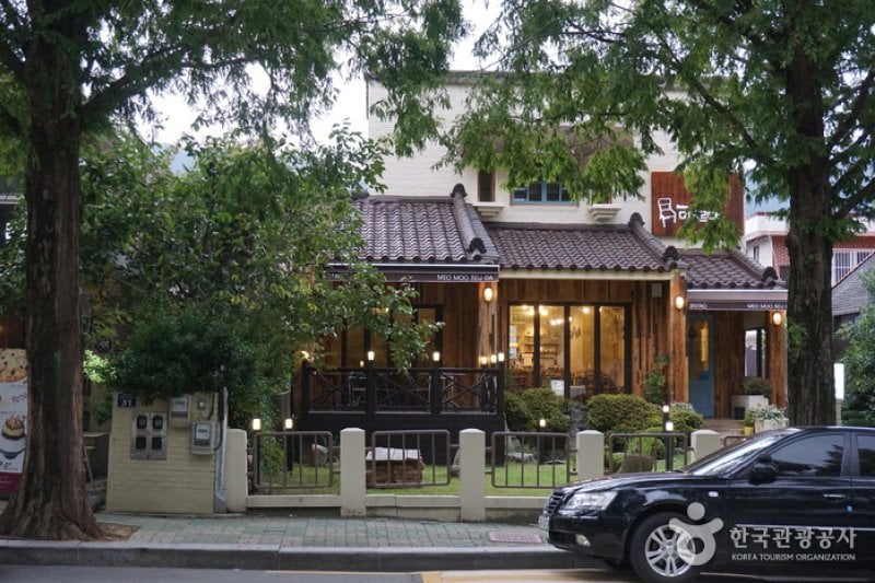 Changwon Garosu-gil  (1/8)