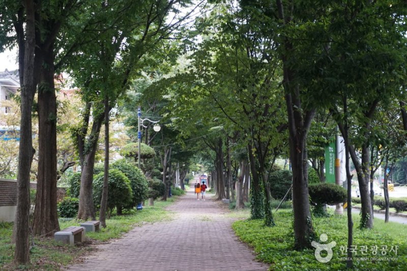 Changwon Garosu-gil  (3/8)