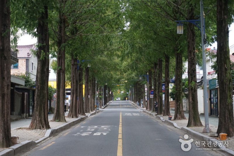 Changwon Garosu-gil  (5/8)