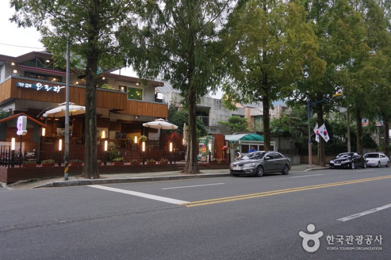 Changwon Garosu-gil  (7/8)