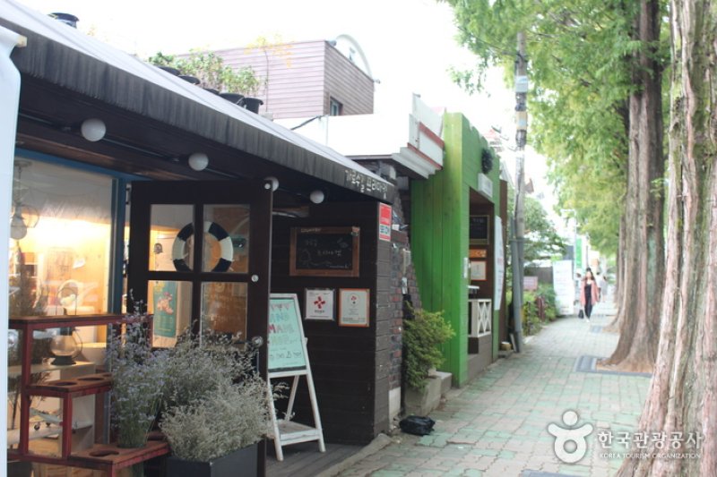 Changwon Garosu-gil  (8/8)