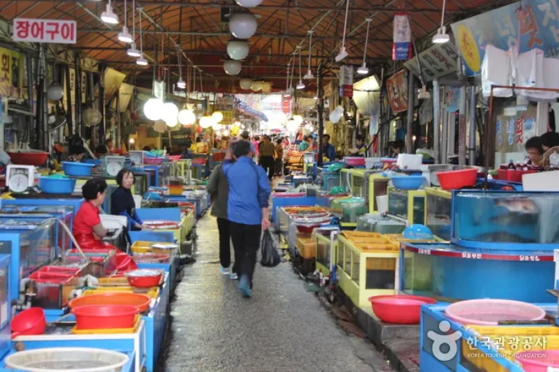 Masan Fish Market  (7/7)
