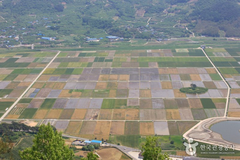 Pyeongsari Field 