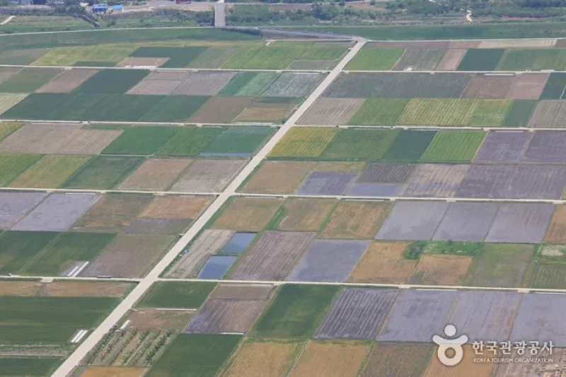 Pyeongsari Field 