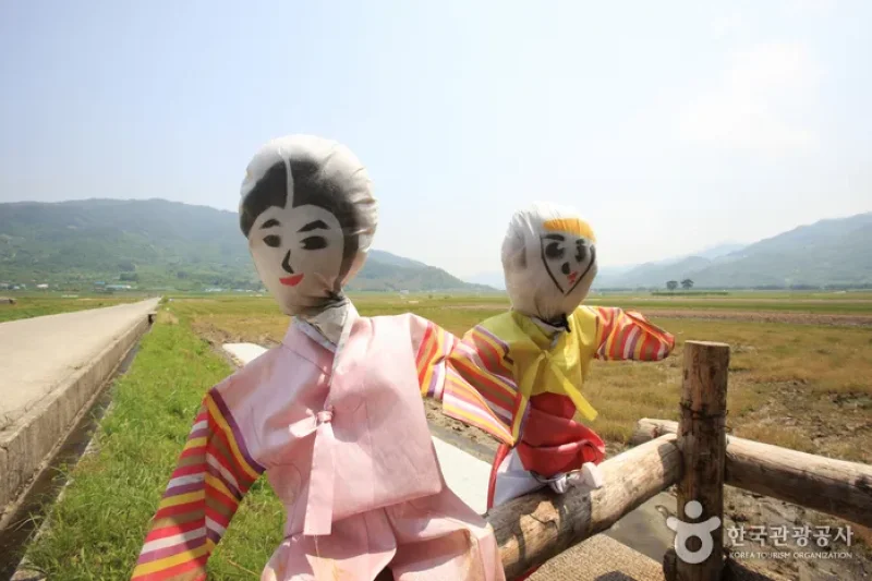 Pyeongsari Field 