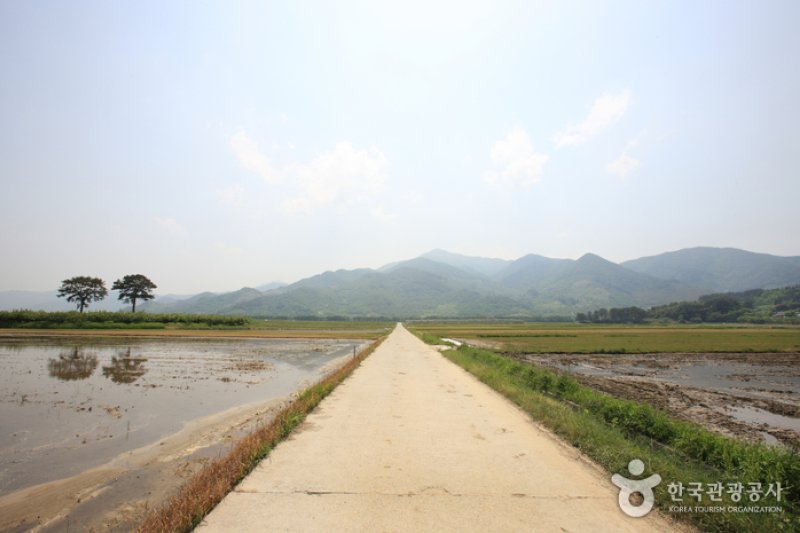 Pyeongsari Field 