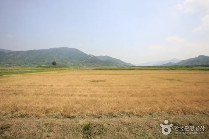 Pyeongsari Field 