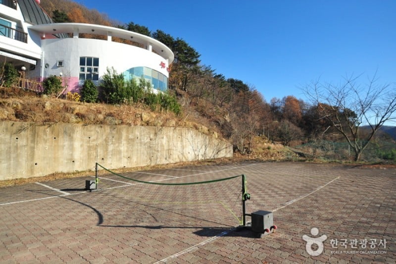 Jirisan View Castle Pension - Goodstay  (3/14)