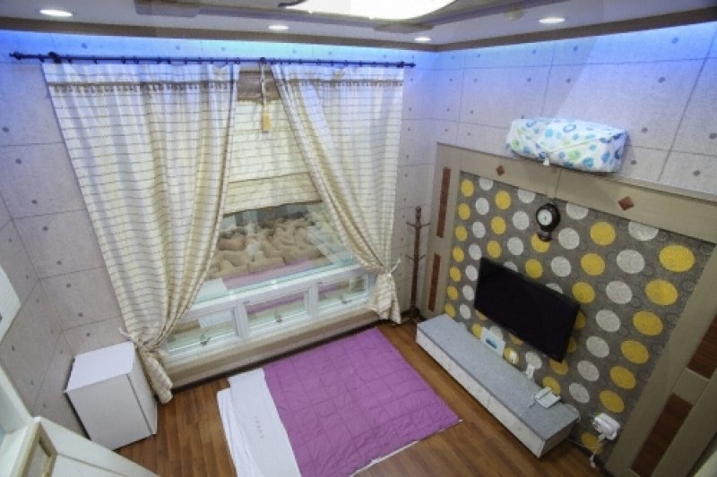 Geojetour house - Goodstay  (6/18)