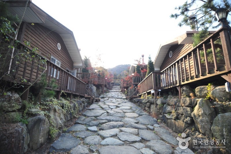 Cloud Pension - Goodstay  (2/21)