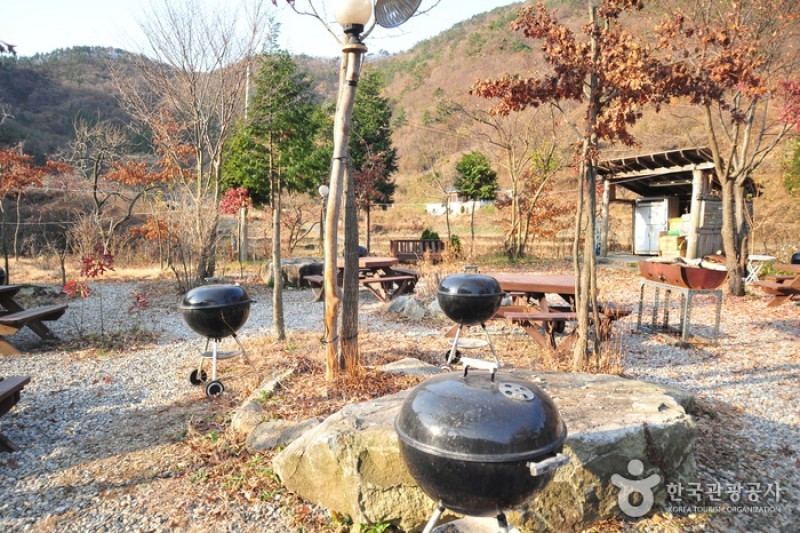 Cloud Pension - Goodstay  (8/21)