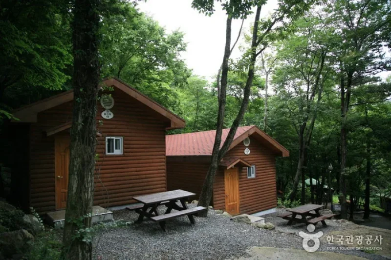 Geoje Recreational Forest  (1/6)