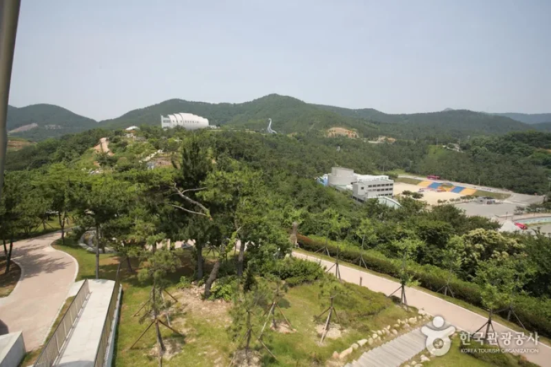 Goseong Dinosaur Museum  (4/6)