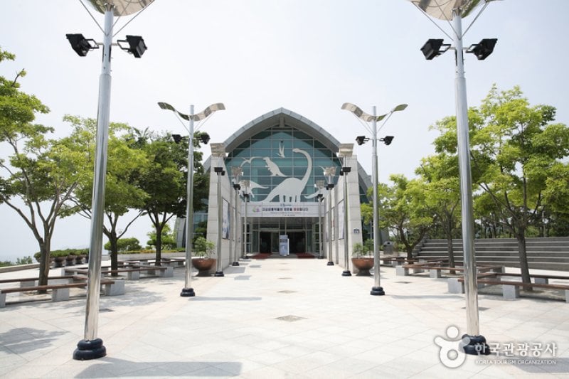 Goseong Dinosaur Museum  (6/6)