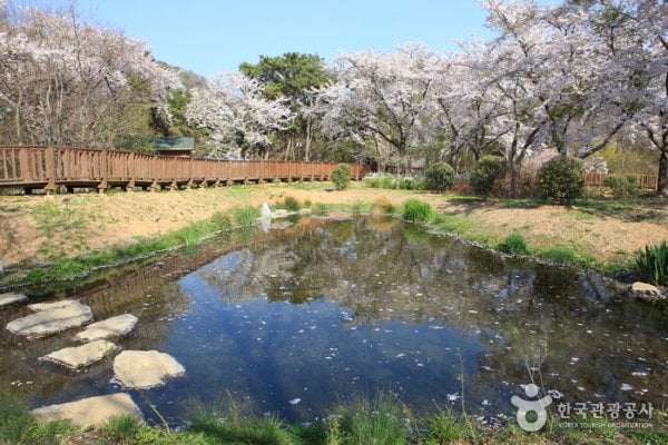 Jinhae NFRDI Environment Eco-Park