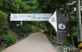 Jirisan National Park 