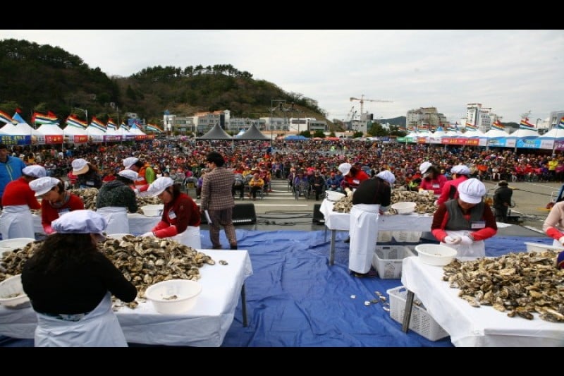 Hallyeo National Marine Park Oyster Festival  (1/9)