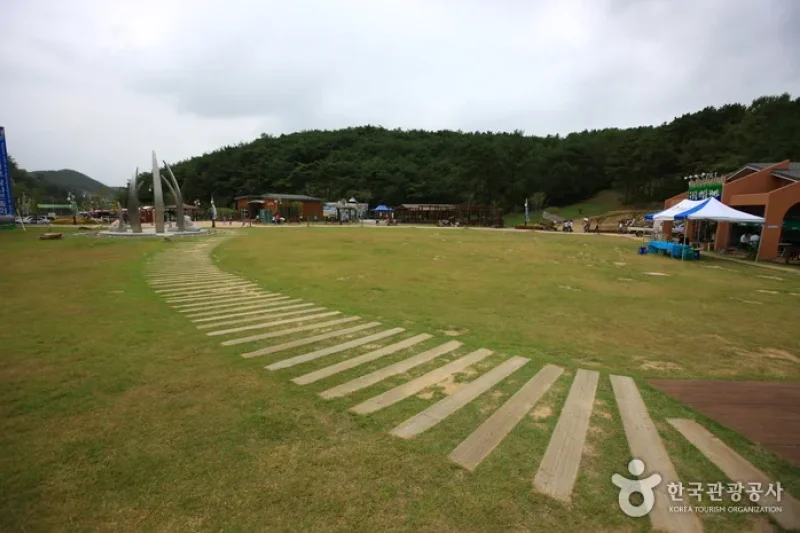 Upo Wetland Cyber Ecological Park  (5/19)