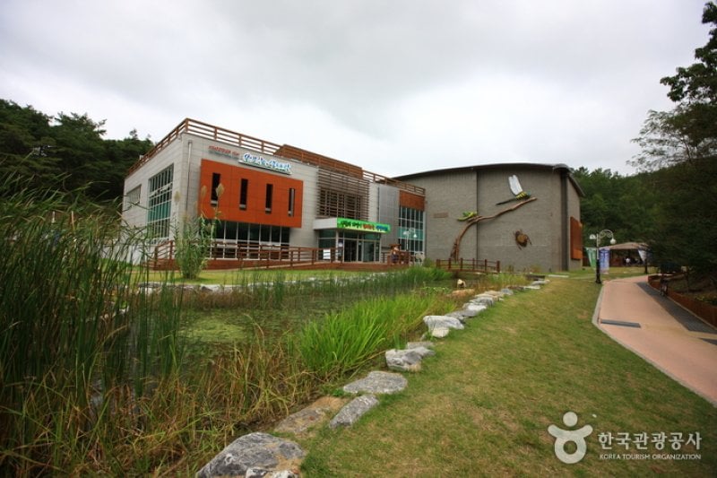 Upo Wetland Cyber Ecological Park  (6/19)