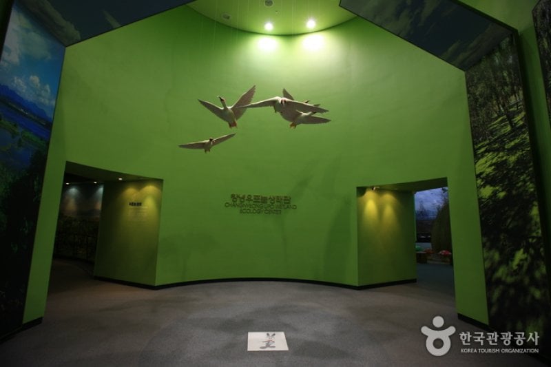 Upo Wetland Cyber Ecological Park  (8/19)