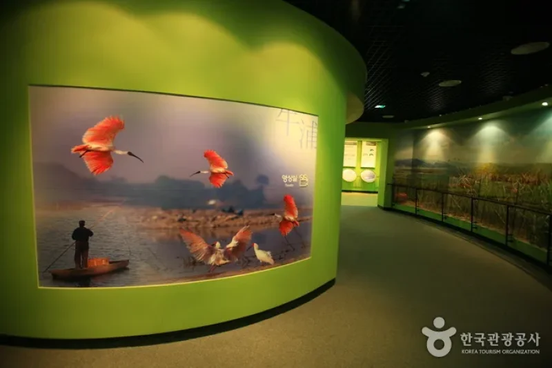 Upo Wetland Cyber Ecological Park  (9/19)