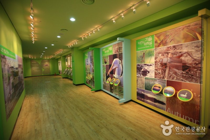 Upo Wetland Cyber Ecological Park  (10/19)