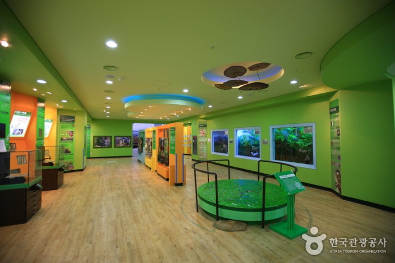 Upo Wetland Cyber Ecological Park  (12/19)