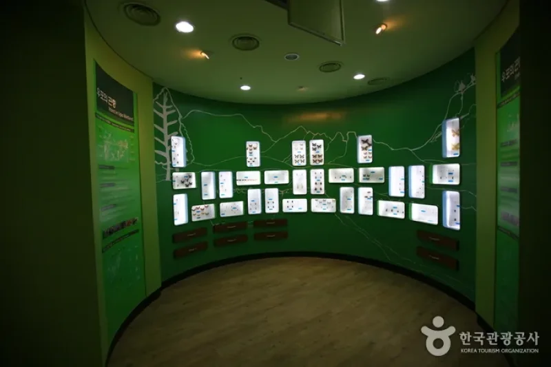 Upo Wetland Cyber Ecological Park  (13/19)