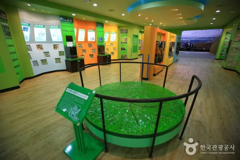Upo Wetland Cyber Ecological Park  (14/19)