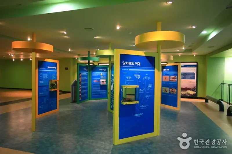 Upo Wetland Cyber Ecological Park  (19/19)
