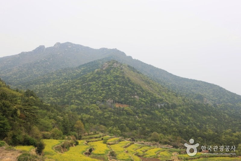 Geumsan Mountain  (2/27)