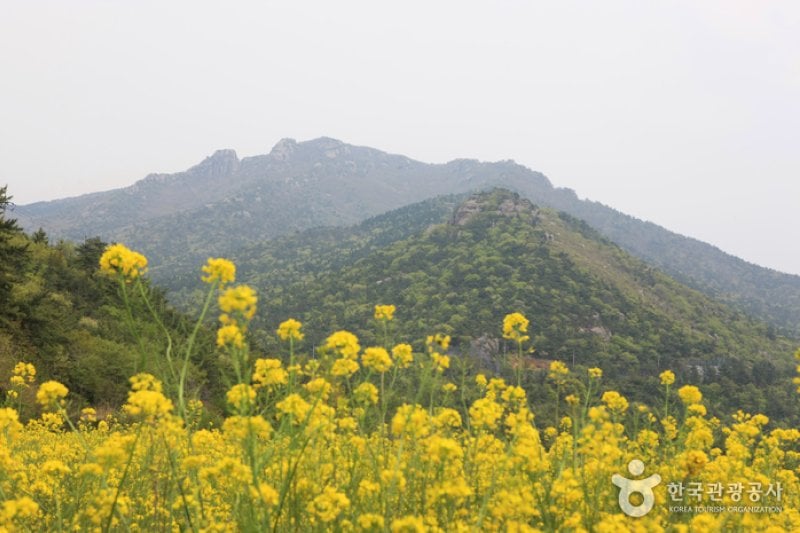 Geumsan Mountain  (3/27)