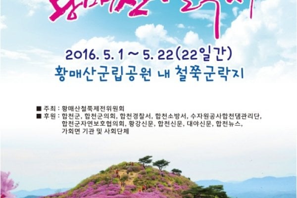 Hapcheon Hwangmaesan Royal Azalea Festival
