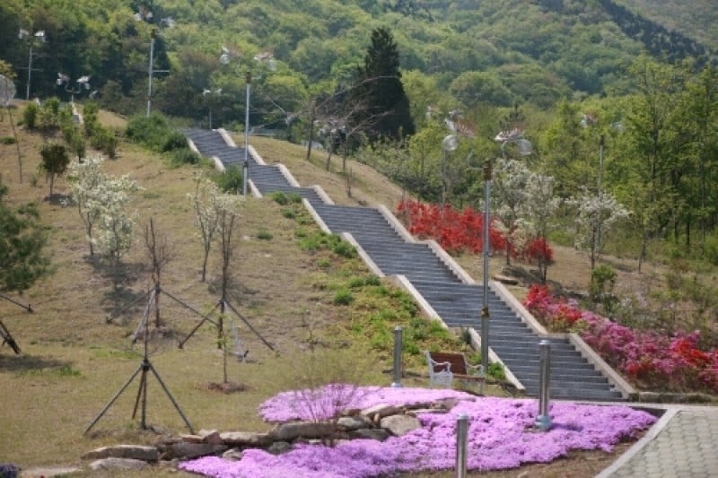 Namhae Butterfly Park  (16/20)