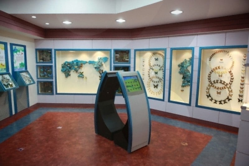 Namhae Butterfly Park  (17/20)